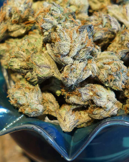 somalicious-budshot-somaseeds