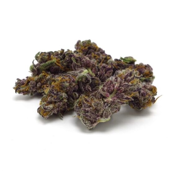 bluediesel_growerschoice2021
