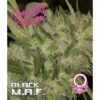 Growers_Choice_-_Black_MAF