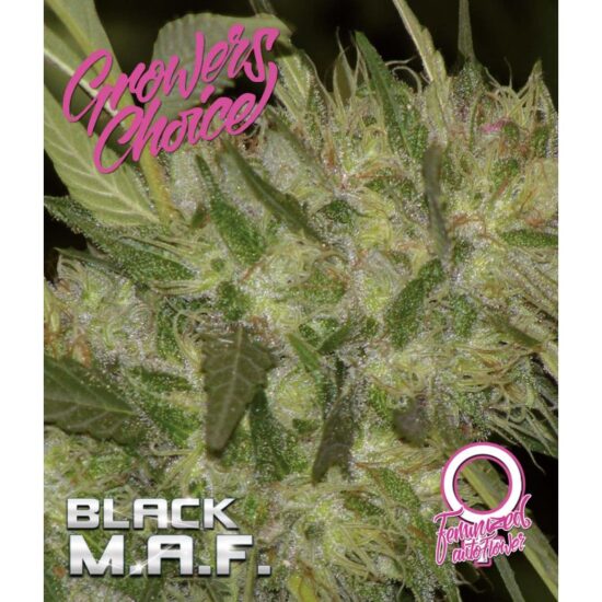 Growers_Choice_-_Black_MAF