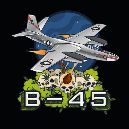b-45 3