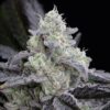 l-a-vanilla-cake