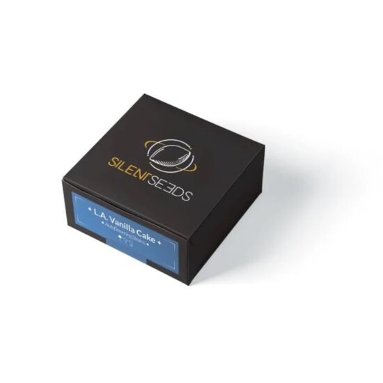 l-a-vanilla-cake-auto2