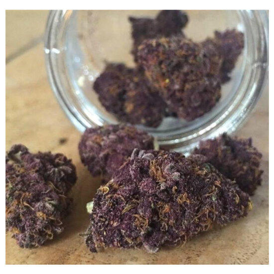 red_jack_feminized_autoflower_by_growerschoice_cannabis_seeds