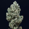 critical-2-0-auto